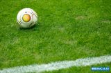 «Ротор» подписал еще одного игрока